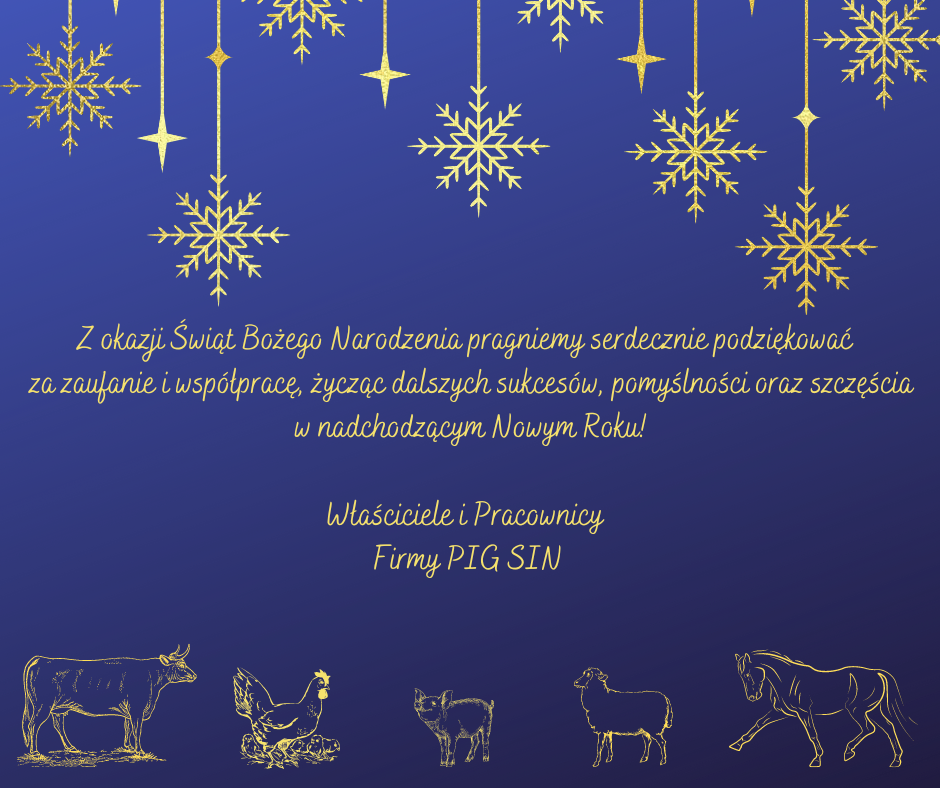 Wesołych Świąt i szczęśliwego Nowego Roku!